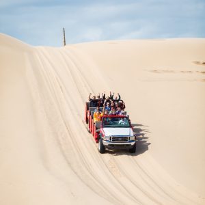 silver lake dune buggy rides