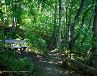 John Gurney Park & Campground - photo 4