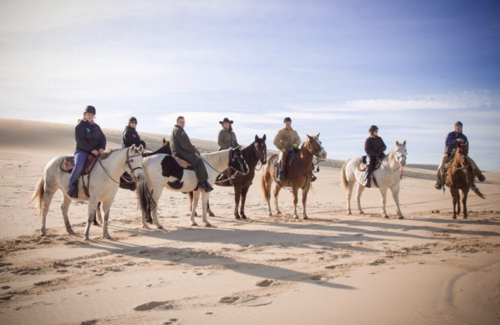 People on horses lined up on the dunes