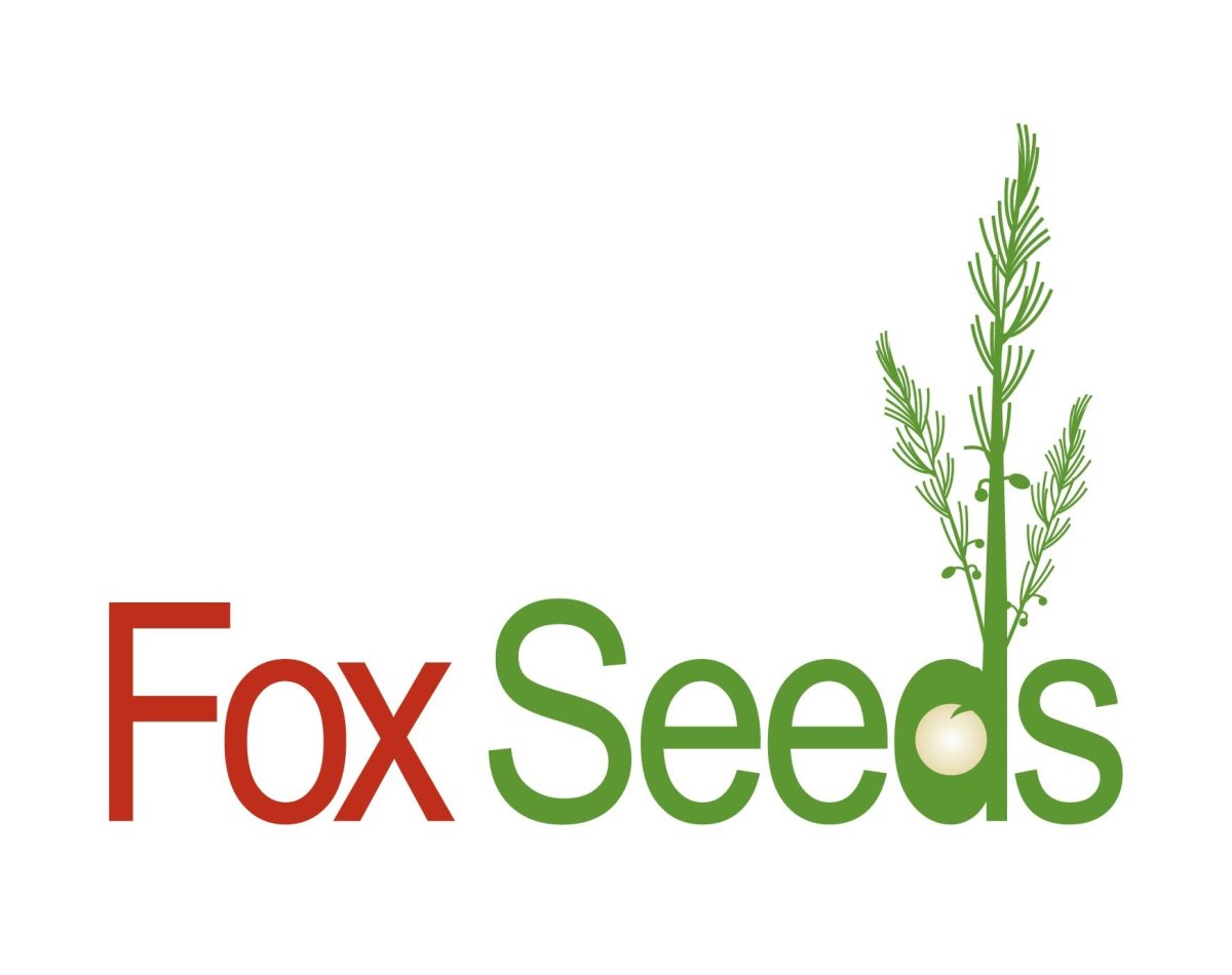 National Asparagus Festival After Party Think Dunes Silver Lake