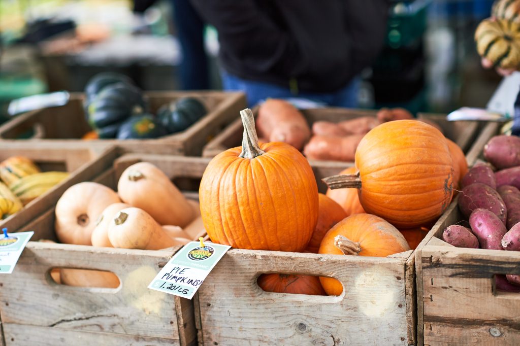 Pumpkins a market
