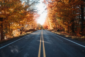 Fall foliage in the Silver Lake Sand Dunes area of West Michigan