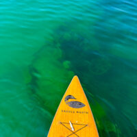 Paddlboarding to a Hidden Shipwreck